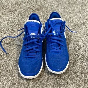 Nike Zoom Lebron NXXT Generation